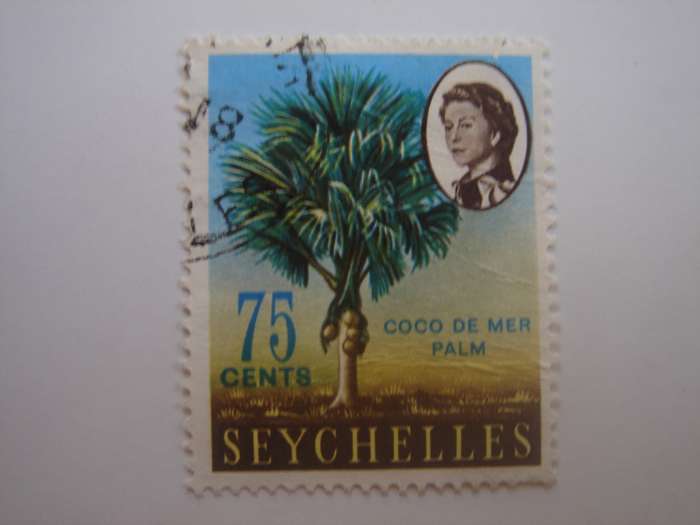 1962 Seychelles - Coco-de-mer Palms - SG206 used, stamped