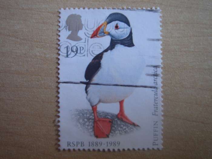 1989 Great Britain - Puffin 19 P used, stamped
