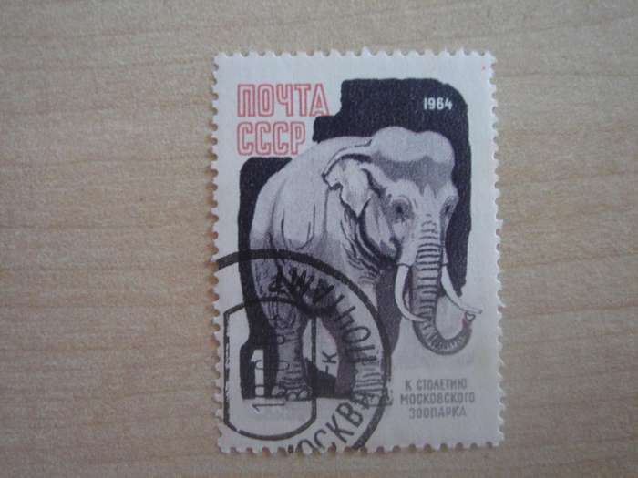 1964 USSR - Elephant - SG3000 stamped