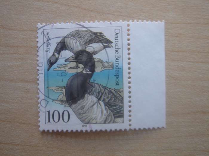 1991 Deutschland MiNr 1541 used, stamped with border