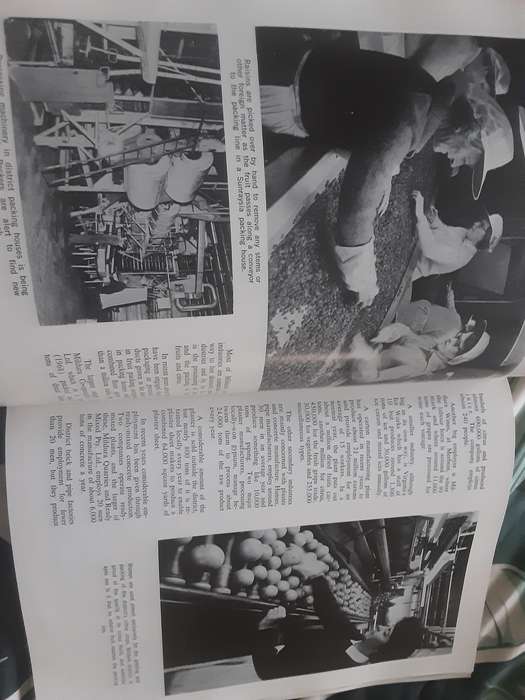 Mildura Into The 70's Yesterday and Today... Mildura District in Words and Pictures ***Scarce ***