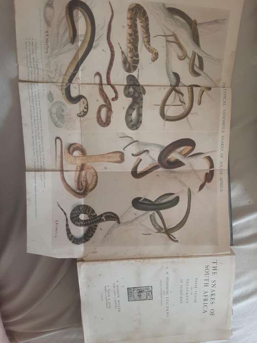 The Snakes of South Africa Their Venom and the Treatment of Snake Bite by F W Fitzsimons