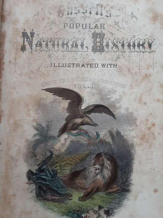 Cassells Popular Natural History, Mammalia illustrated with over 500 Engravings in 2 vols