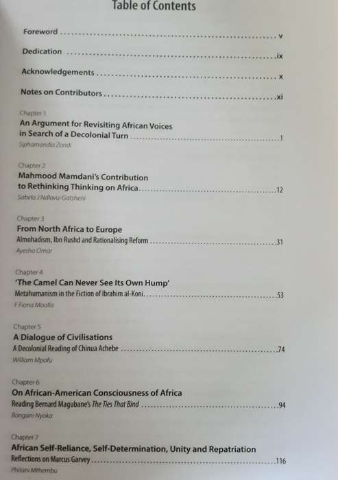 African Voices in Search of a Decolonial Turn edited by Siphamandla Zondi