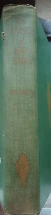 The Aloes of South Africa by Gilbert Westacott Reynolds