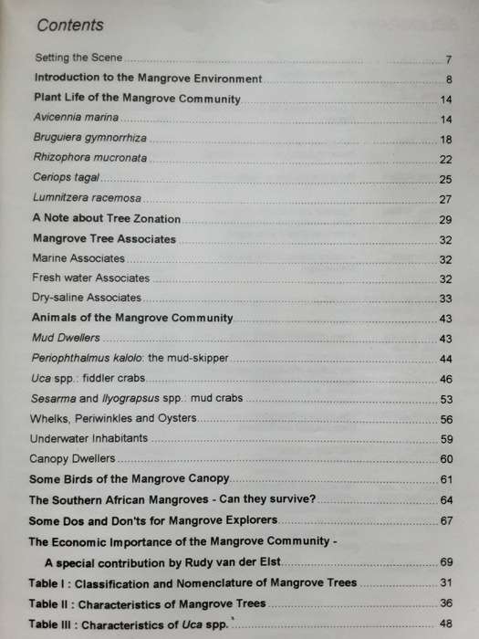 In the Mangroves of Southern Africa by Berjak, Campbell, Hackett and Pamnenter
