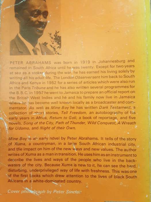 Mine Boy by Peter Abrahams