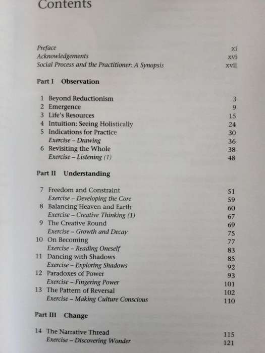 Development Practitioners and Social Process, Artists of the Invisible by Allen Kaplan
