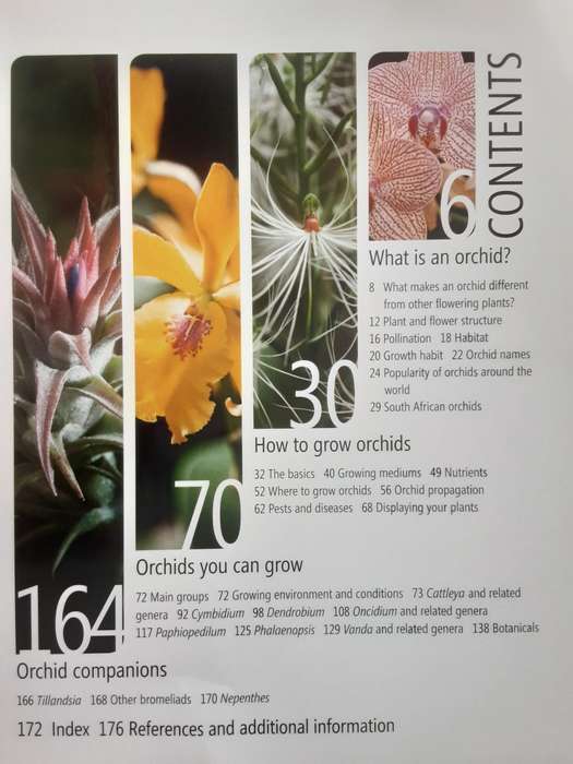 Anyone Can Grow Orchids by Nollie Cilliers & Tinus Oberholzer