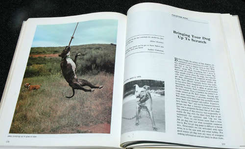 The World of the American Pit Bull Terrier -- Richard Stratton