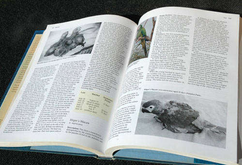 Parrots: Their Care and Breeding -- Rosemary Low