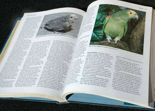 Parrots: Their Care and Breeding -- Rosemary Low