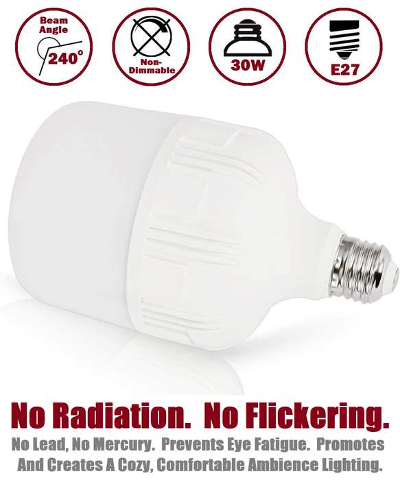 Price Slashed. 30W LED E27  Light Bulb, Lamp, Globe AC170~240V In Warm White. Collections Allowed.