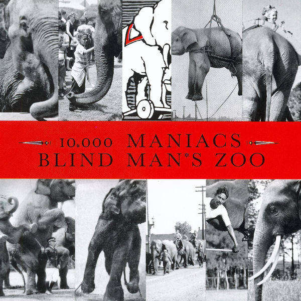 10 000 MANIACS BLIND MANS ZOO  CD