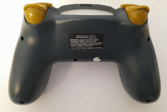 PS4 Controller Hogwarts Legacy Landscape