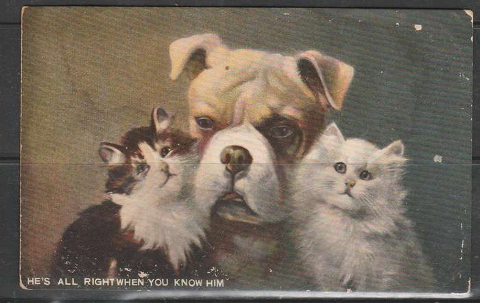A PICTURE POST CARD HE'S ALL RIGHT WHEN YOU KNOW HIM MINT LOOK SCAN