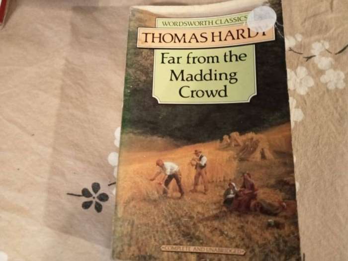 Far from the Madding Crowd | Thomas Hardy