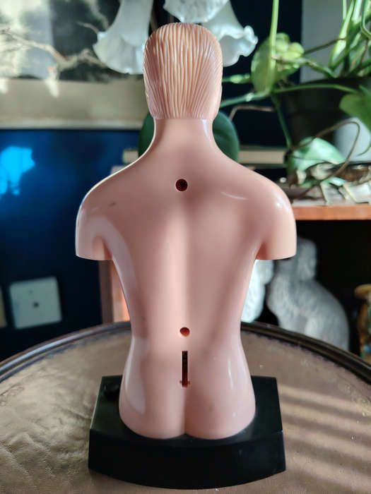 Vintage Anatomical Figure