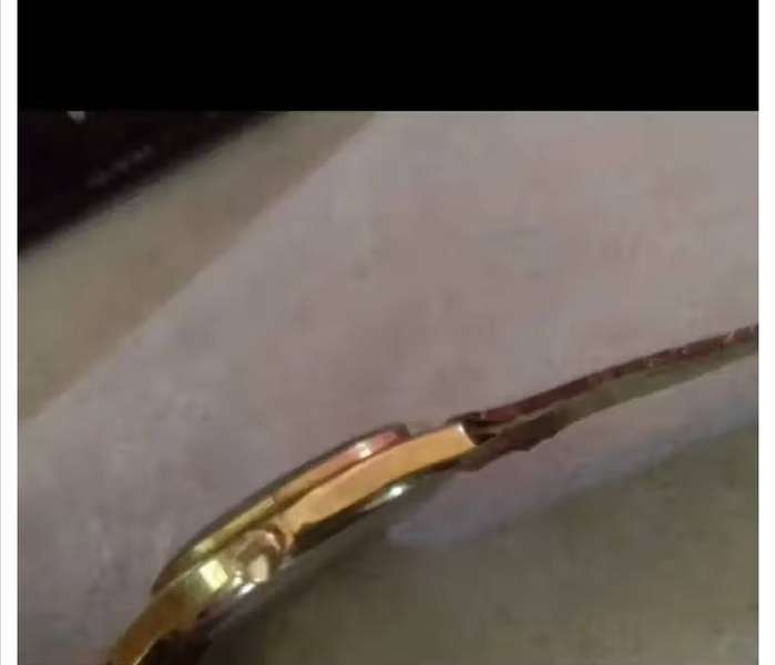 Mens vintage Roamer watch