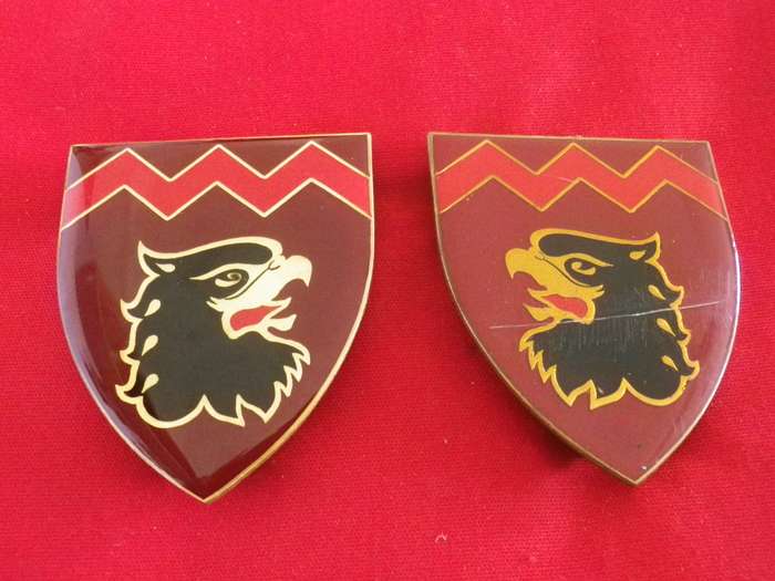 SADF - 44 PARA 18 LIGHT REGT. FACING PAIR FLASHES - 1 PIN MISSING        (8872)