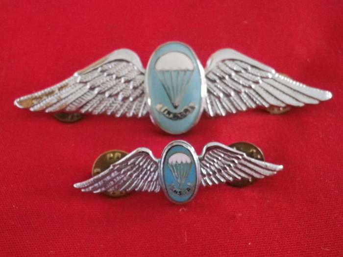SADF - SA PARA STATIC LINE INSTRUCTOR CHROME + ENAMEL FULL + MESS DRESS WINGS    (8867)
