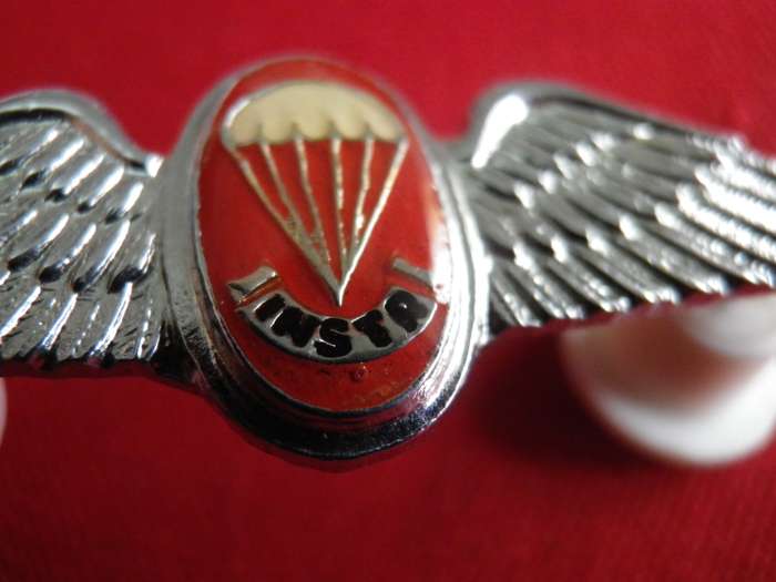 SADF - SA PARA FREEFALL INSTRUCTORS MESS DRESS WING - DINNES 319           (8644)