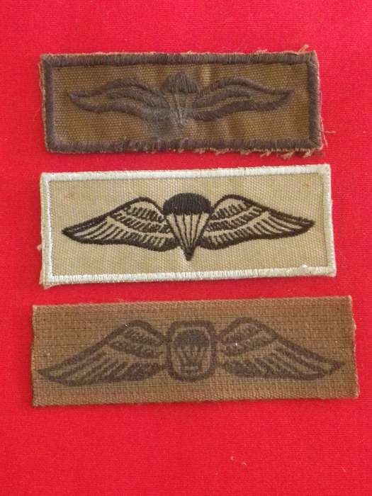 SADF  / SANDF - 3 X SA PARA COMBAT DRESS WINGS          (8885)