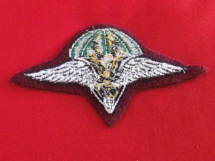 SADF - 1 PARA BATTALION BERET BADGE                (8884)