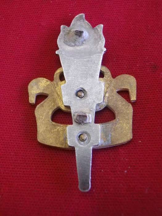 SOUTHERN RHODESIA EDUCATIONAL CORPS OFFICERS FROSTED GILT + SILVER CAP BADGE - NO LUGS - SCARCE (230