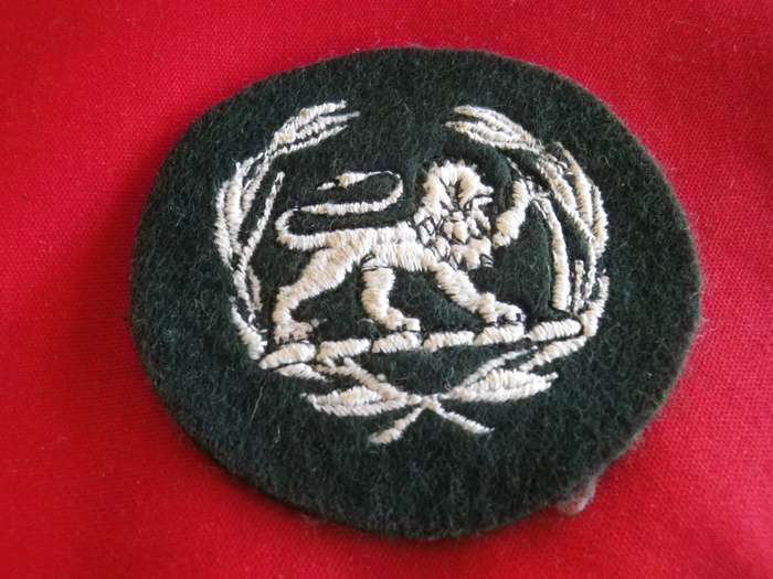 RHODESIAN ARMY WO 2 EMBROIDERED BADGE FOR GREENS                 (8673)
