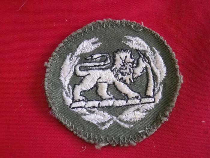 RHODESIAN ARMY - WO2  COMBAT DRESS RANK        (203)