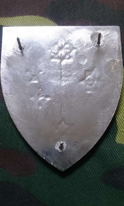 SADF  S.A. MILITARY INTELLIGENCE COLLEGE  SHOULDER FLASH - WITH PINS