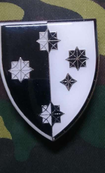 SADF  S.A. MILITARY INTELLIGENCE COLLEGE  SHOULDER FLASH - WITH PINS