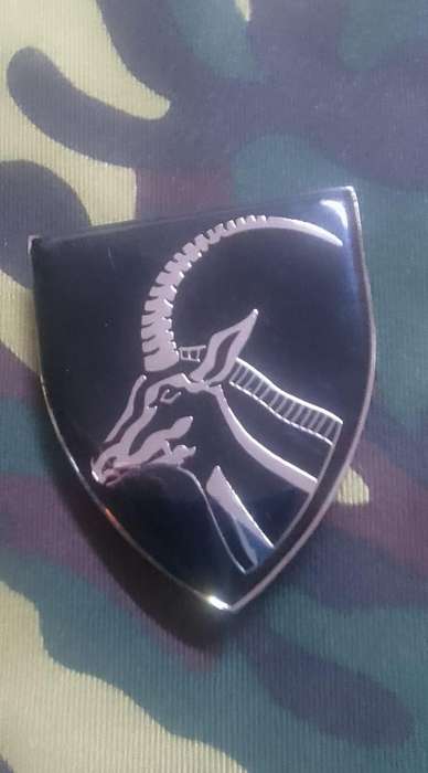 SADF BARBERTON COMMANDO SHOULDER FLASH  - WITH PINS