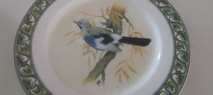 COLLECTION OF CERAMIC DINNER PLATES - BIRD DESIGN