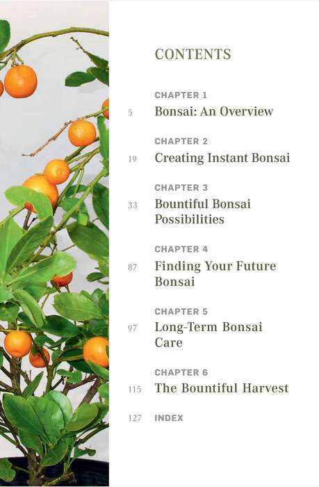 Bountiful Bonsai PDF EBOOK