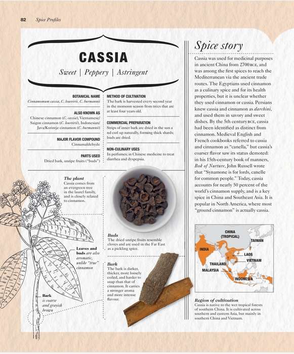 Spice PDF EBOOK