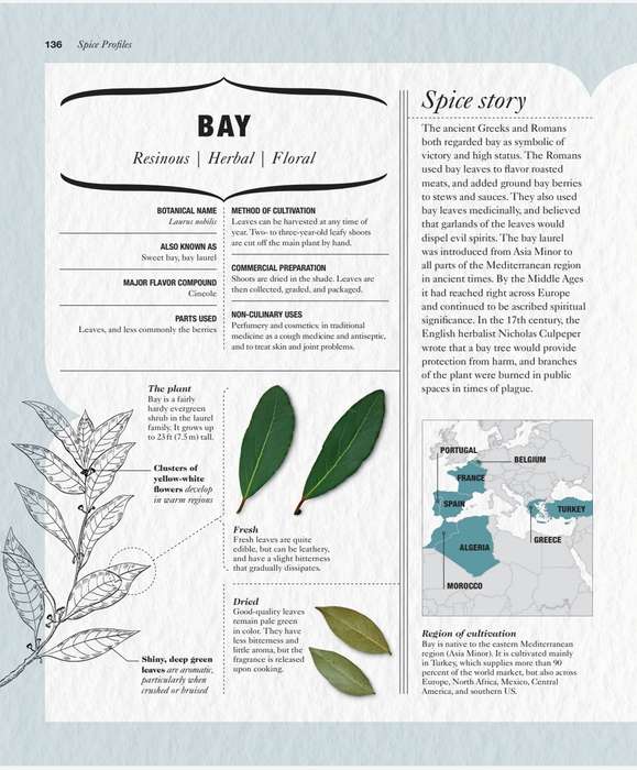 Spice PDF EBOOK