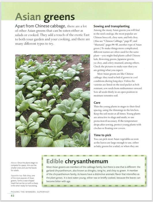 Fast, Fresh Garden Edibles PDF EBOOK
