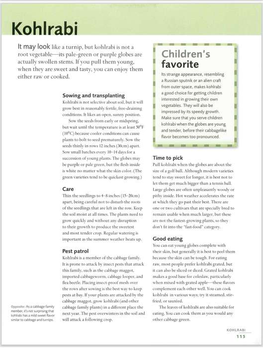 Fast, Fresh Garden Edibles PDF EBOOK