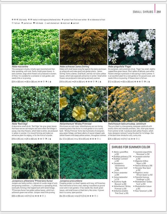 Garden Design PDF EBOOK