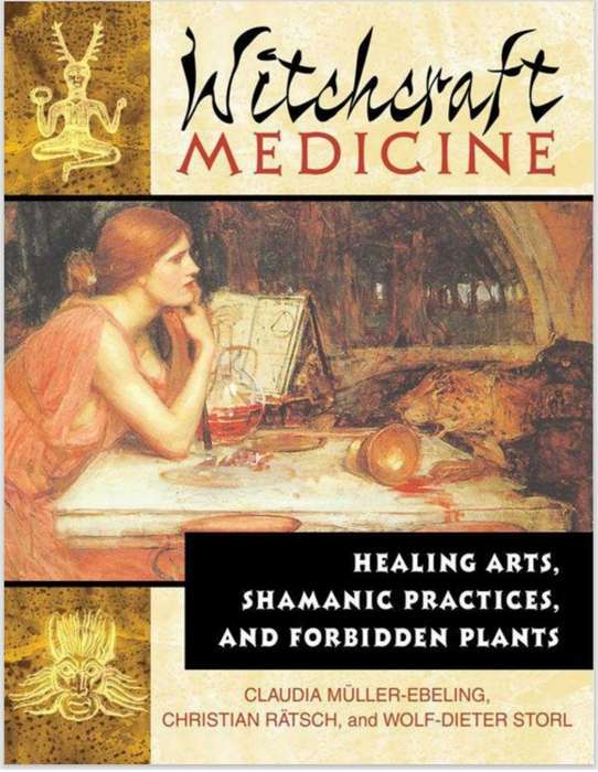 Witchcraft Medicine PDF EBOOK