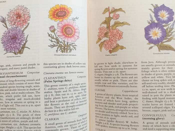 Complete Guide to Gardening in South Africa Reader's Digest 1971