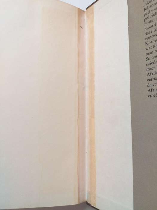 Die dood van Generaal de la Rey (HJ May & Ian Hamilton)