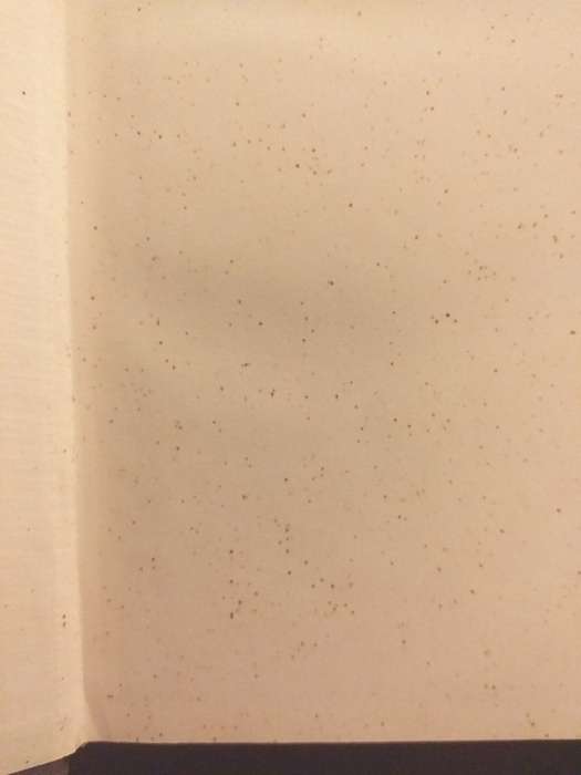 Dr WJ Leyds Vierde Verzameling Correspondentie 1900-1902 Deel 1 Tweede Band