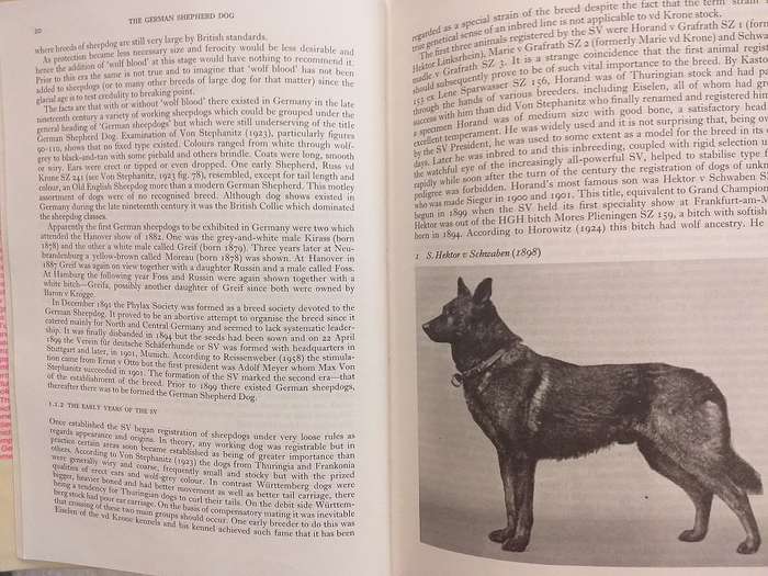 The German Shepherd Dog (MB Willis PhD)