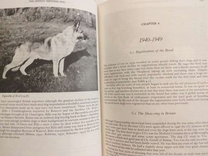 The German Shepherd Dog (MB Willis PhD)