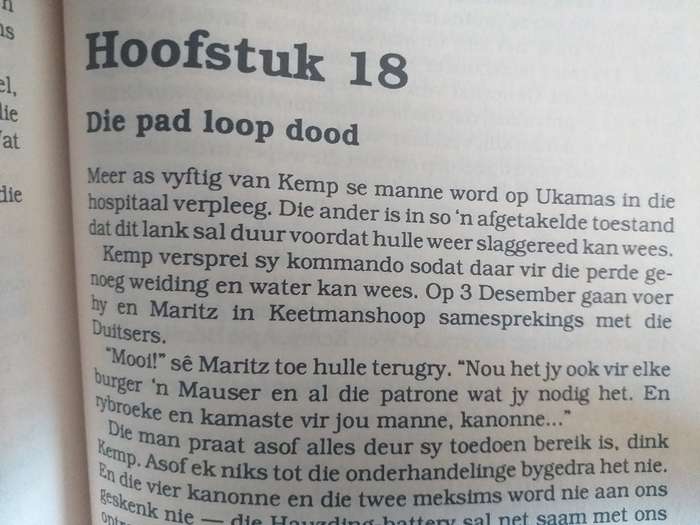Gewapende Protes (PG Hendriks)  Die Rebellie