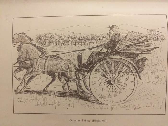 Ghwennie Barnveld (CR von Wielligh) 1924 Voortrekker jeugverhaal *** LEESKOPIE ***