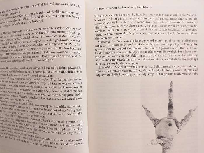 Handboek oor veesiektes (Monnig en Veldman)